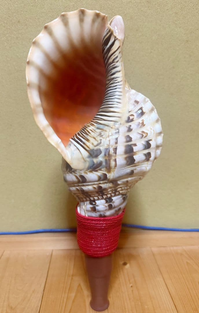 綺麗な最大級の修験道法螺貝44㎝山伏 ホラガイほら貝 熊よけ