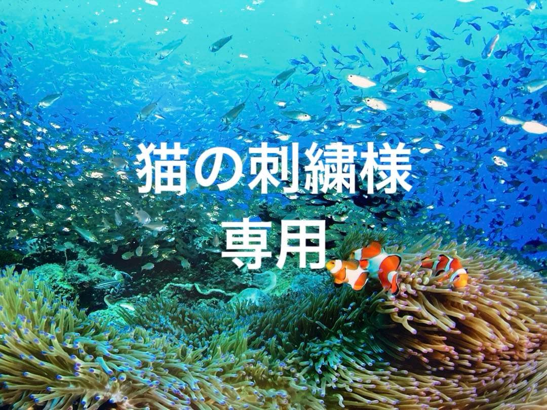 エンビロンモイスチャークリーム4 Aブーストセラム