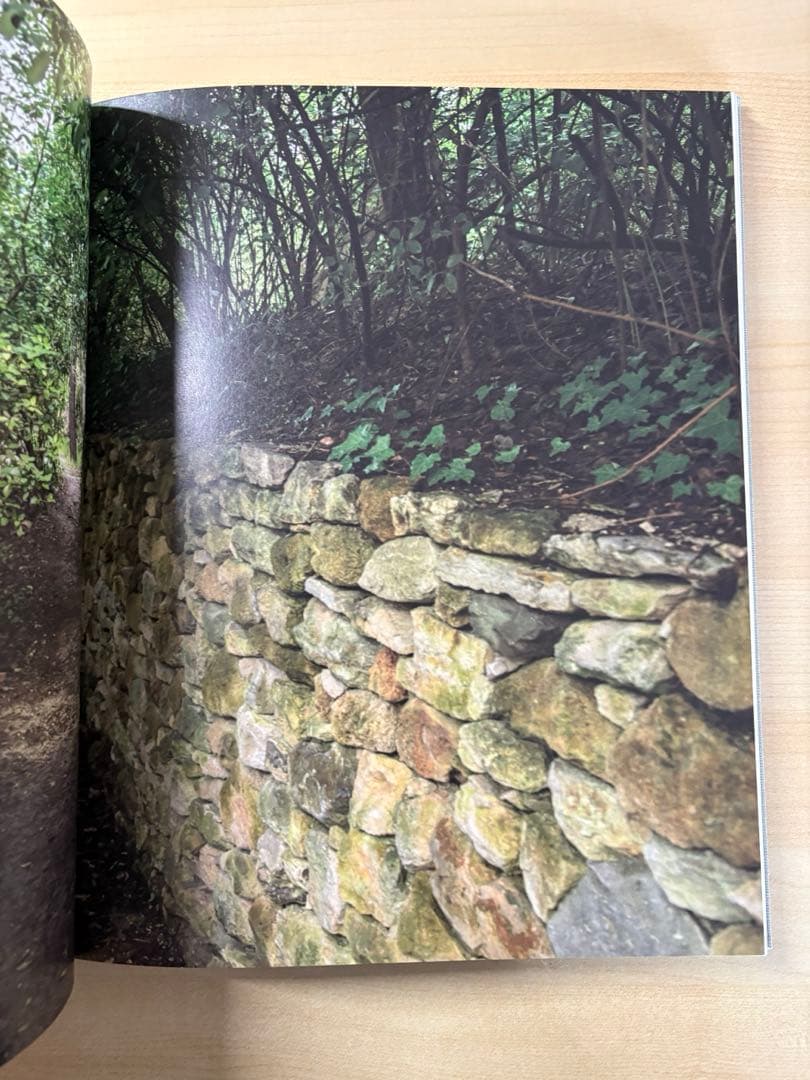 Joel Meyerowitz Cézanne's Objects