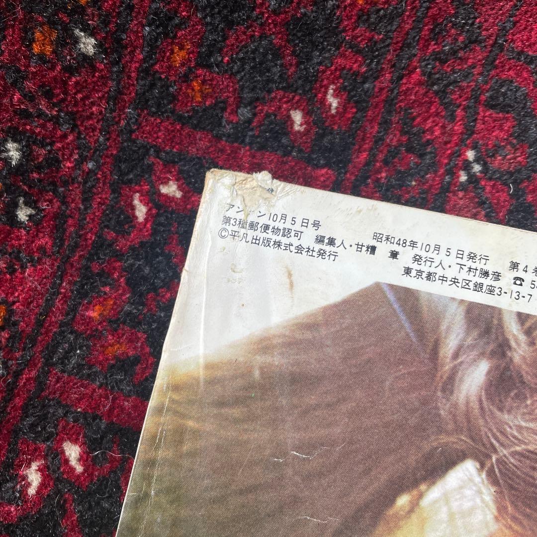 ビンテージ雑誌　an・an no.84