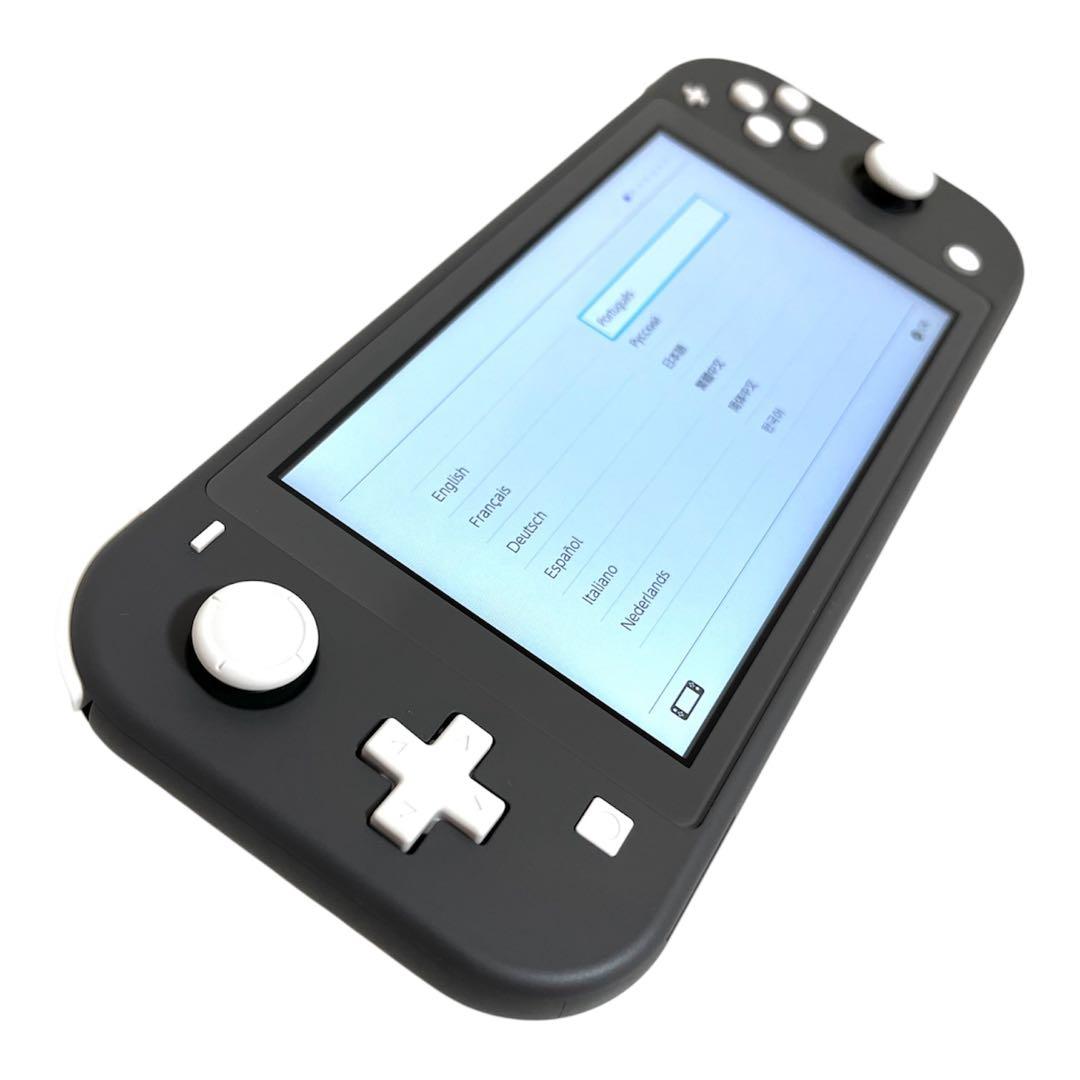 Nintendo Switch Lite グレー 、SDカード（256GB）など
