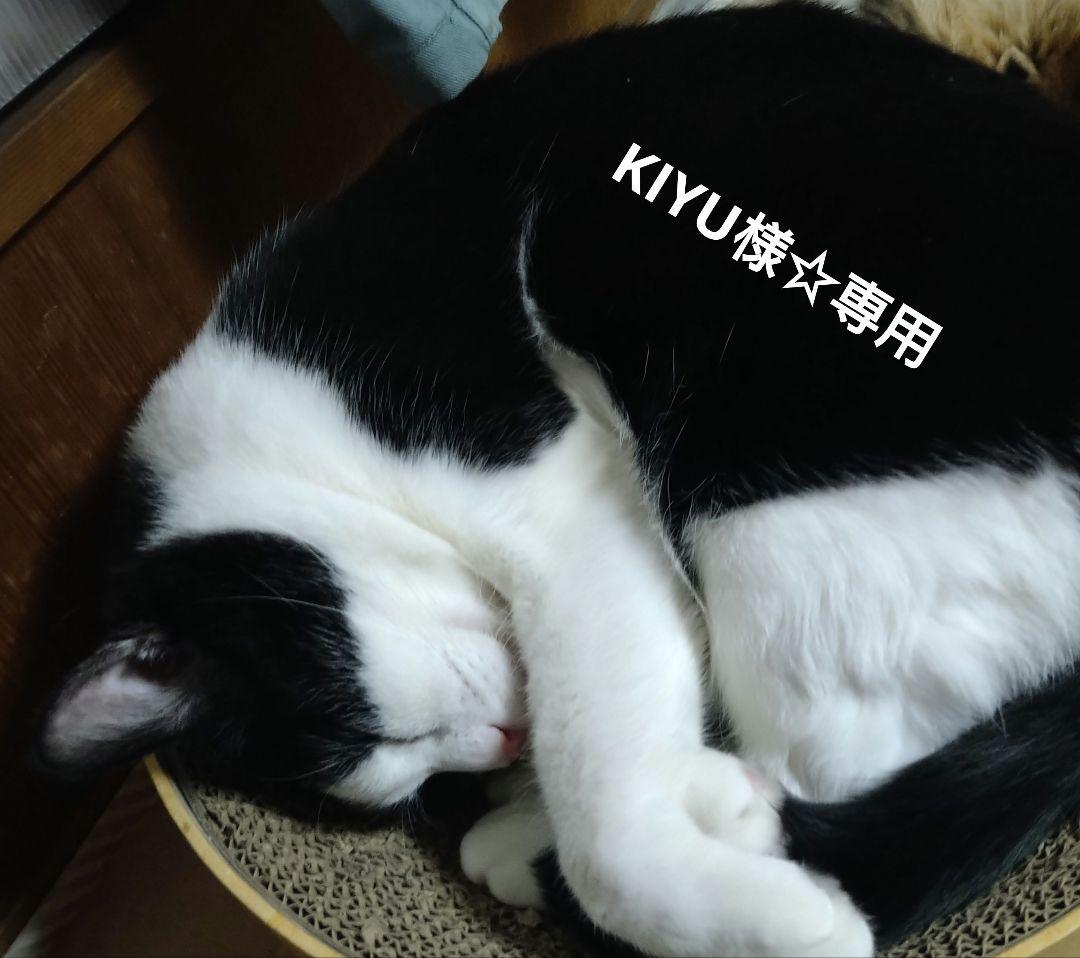 KIYU様★専用
