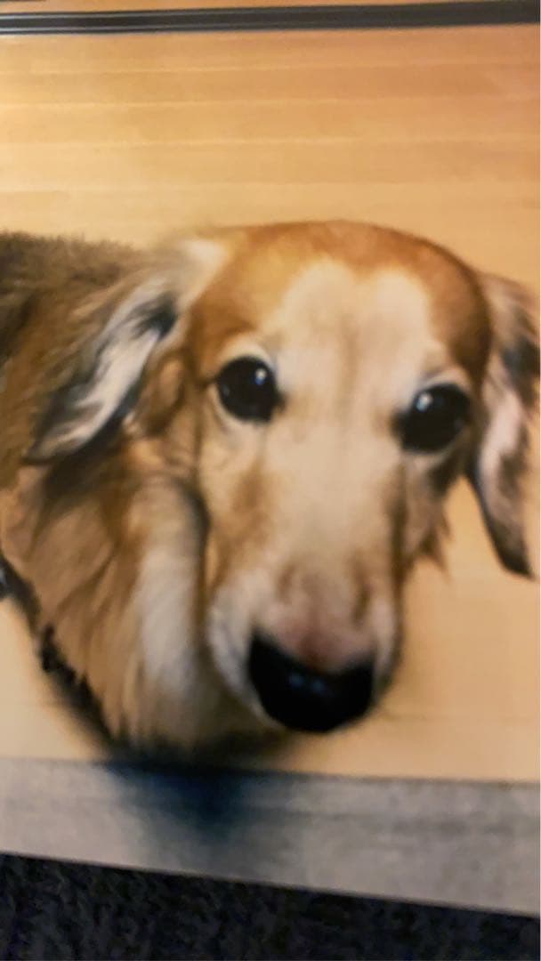 赤いトラックのジグソーパズル