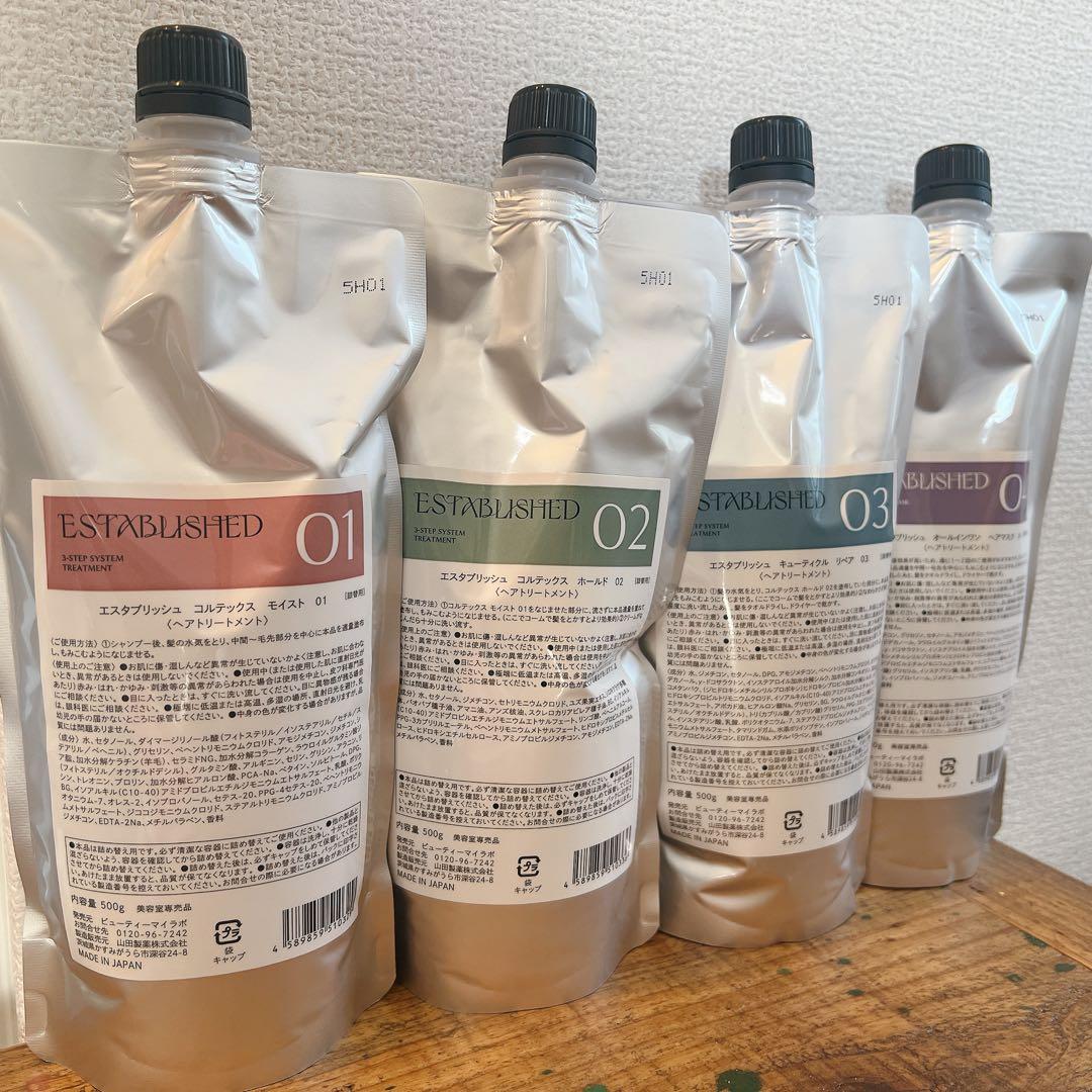 エスタブリッシュ　システムトリートメント　業務用　ホームケア　新品　ヘアパック