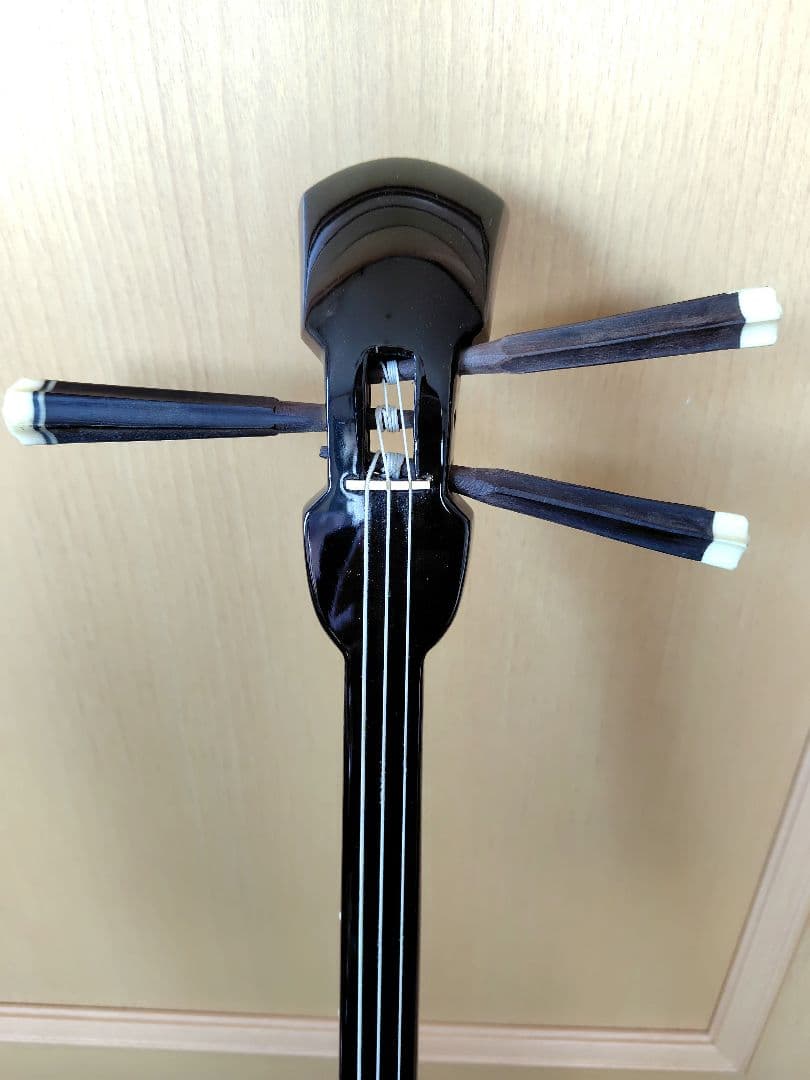 三線本体 人工皮革 蛇皮模様 ハードケース付き