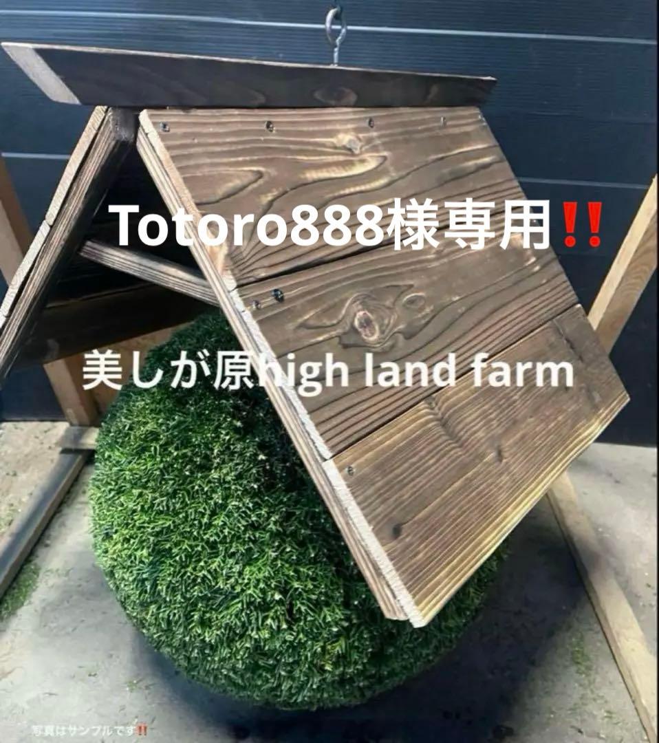 杉玉　約40センチ　屋根付き‼️お客様ご注文品♪