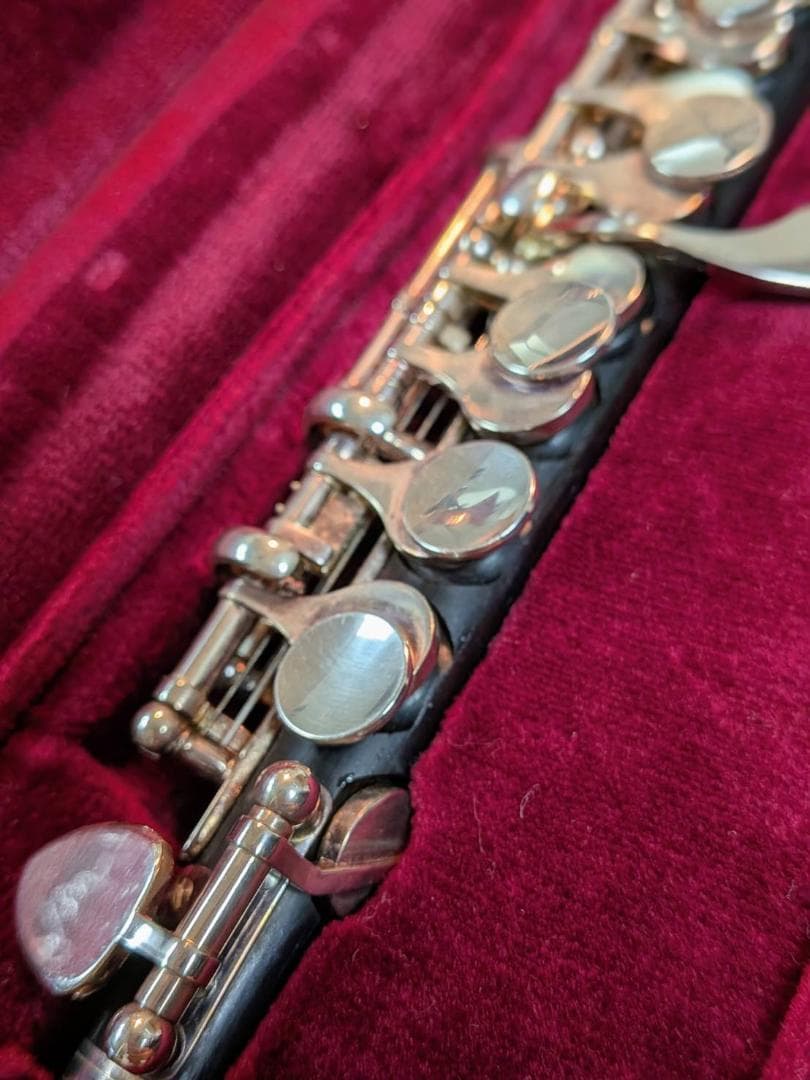 【ハム】Bulgheroni ブルゲローニ ピッコロ 401R