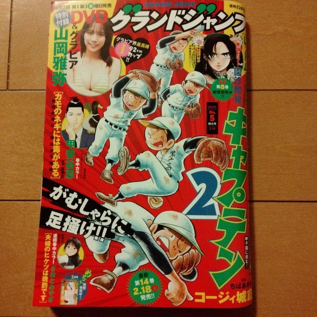 グランドジャンプ 2025年 全24巻セット