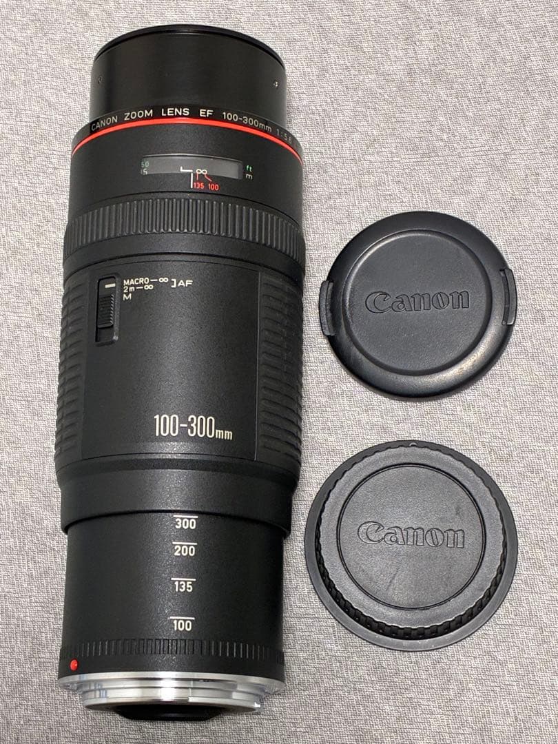 ⭐️外観美品⭐️キャノン Canon EF 100-300mm F5.6 L 望遠