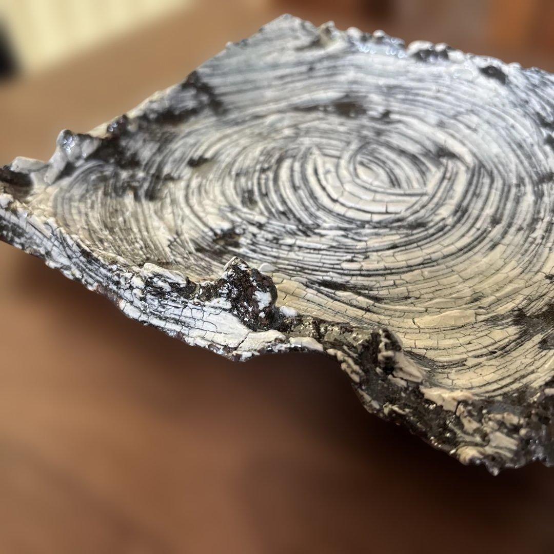 【唐津焼中川自然坊窯】刷毛目唐津四方もち上げ皿②