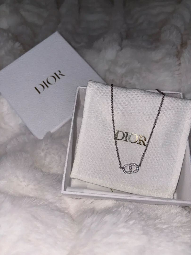 Dior シルバーロゴネックレス