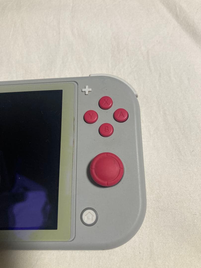 Switch Lite ポケモンデザイン 本体 充電器付き