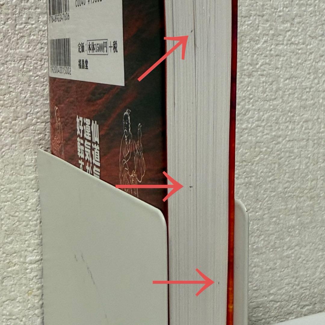 【訳あり】仙道気功で運気が好転する : 幸せをもたらす奇跡の気功術