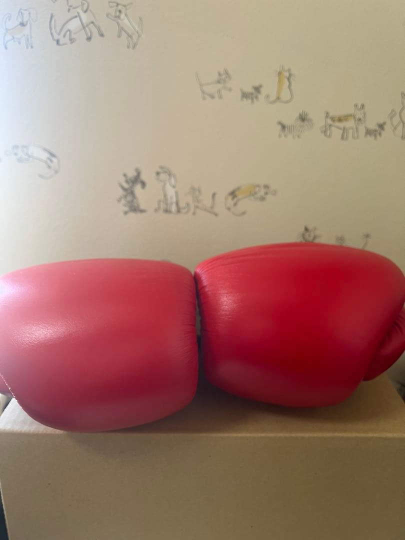 Winning ボクシンググローブ 公式戦JABF 10oz レッド 新品未使用