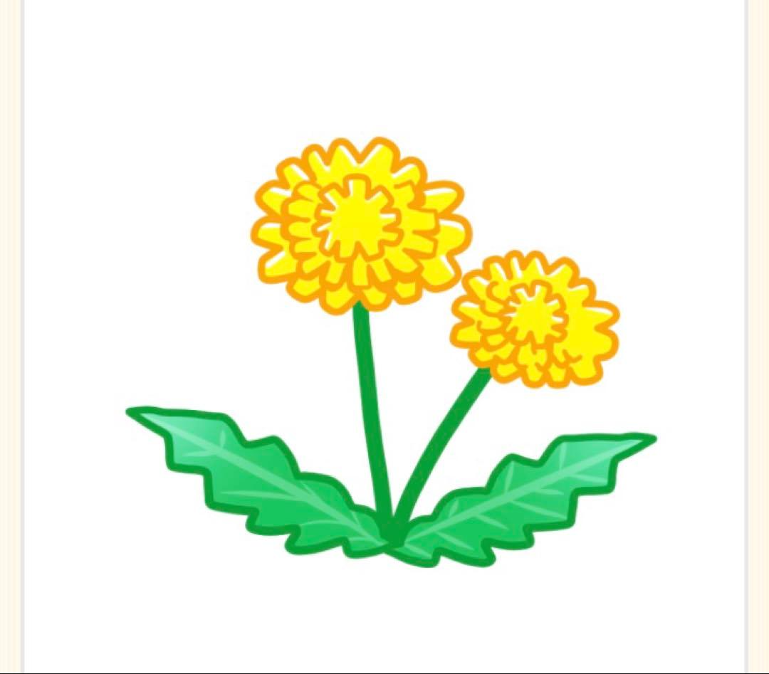 シャンプー fluffy