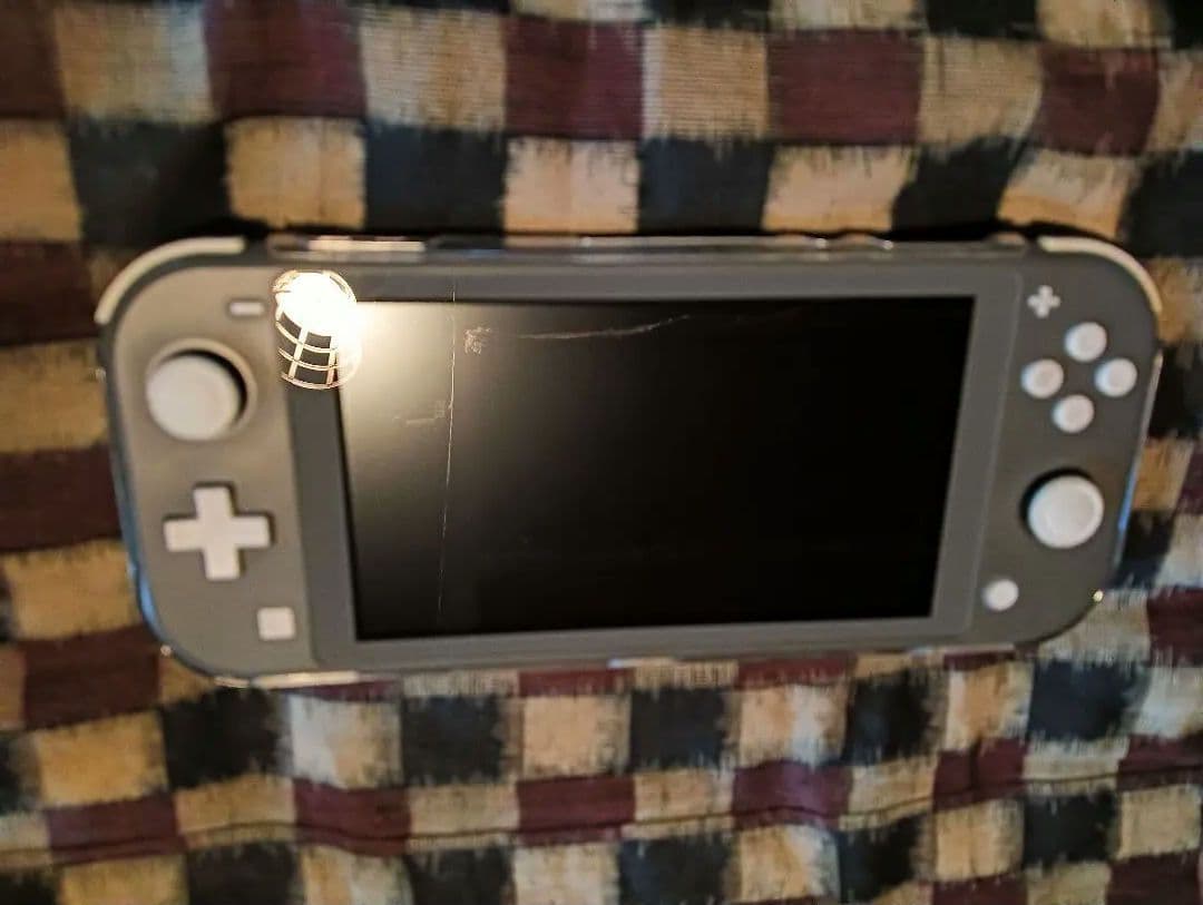Nintendo Switch Lite グレー 本体　カバー付き