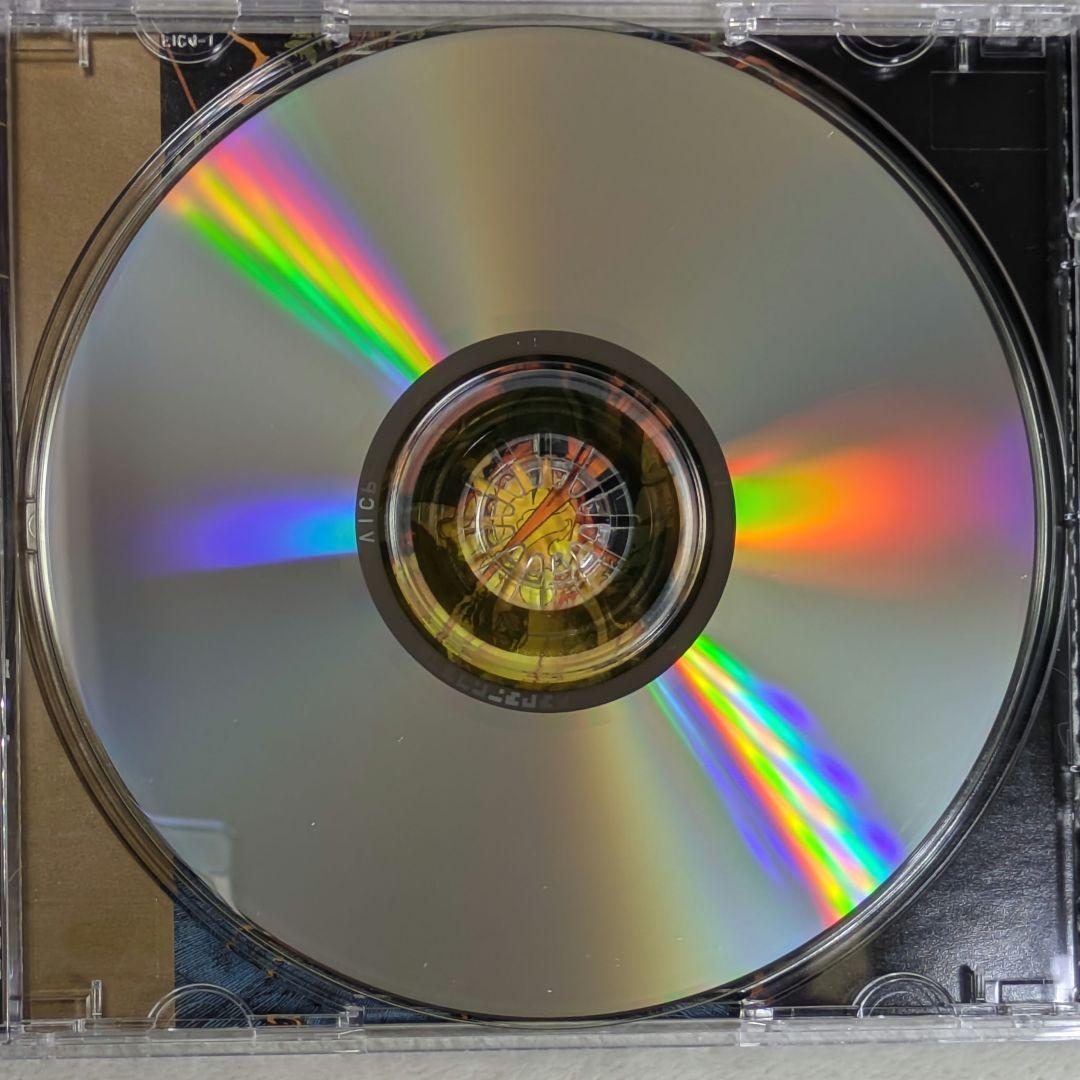 アイスド・アース/デイズ・オブ・パーガトリィ　帯付き