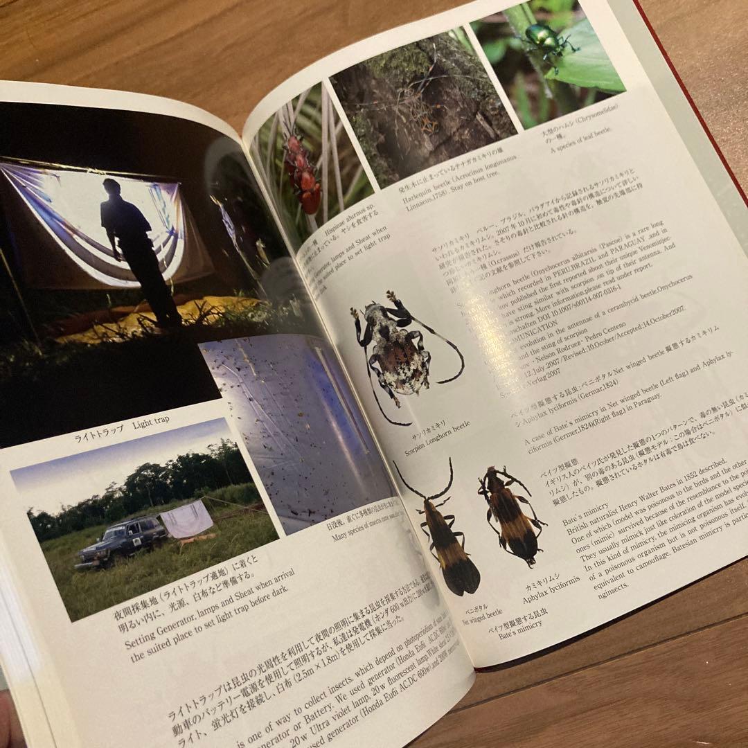 野生ラン 写真集「艶蘭亭 ADELANTE - パラグアイの野生蘭と甲虫」小山貢