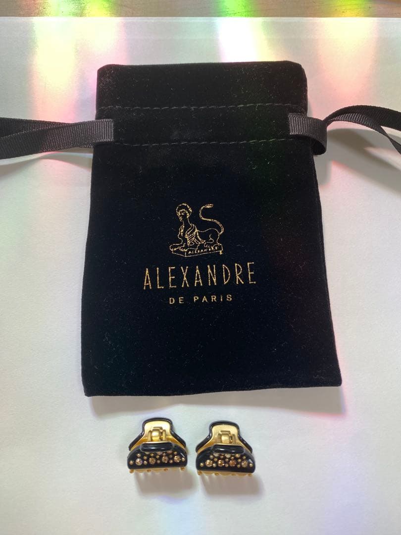 アレクサンドルドゥパリ【VENDOME】 Micro クリップ　未使用品2個