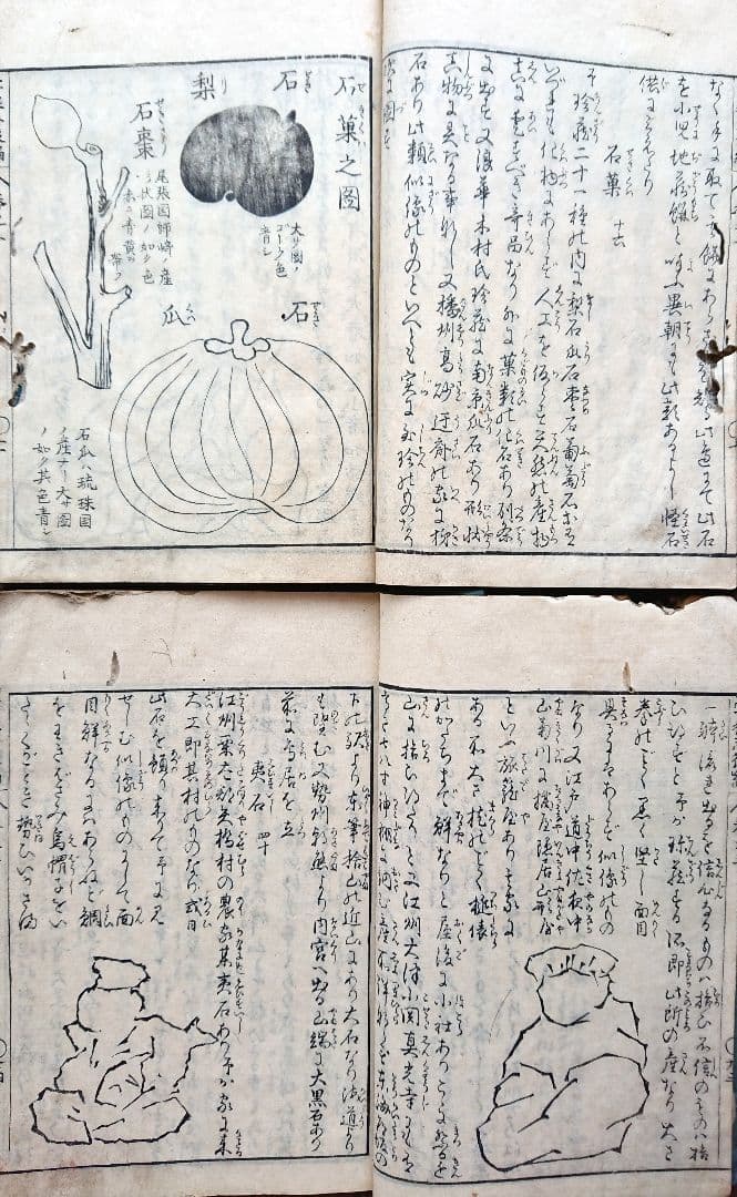 3冊『雲根志』本草学 鉱物 考古学 江戸時代自然科学 平賀源内 和本 古文書