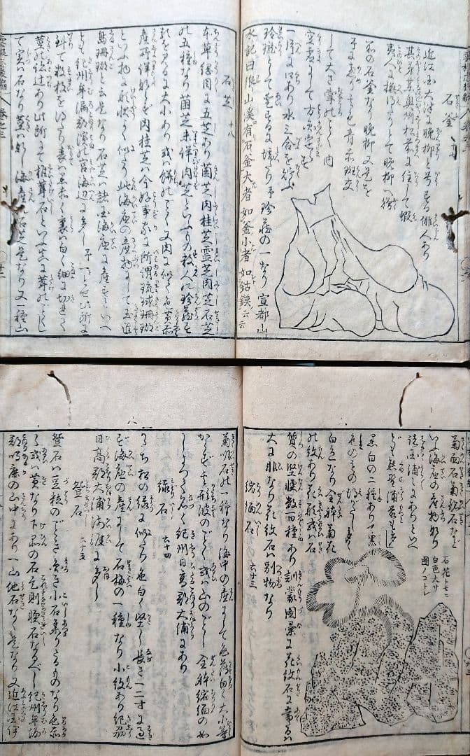 3冊『雲根志』本草学 鉱物 考古学 江戸時代自然科学 平賀源内 和本 古文書