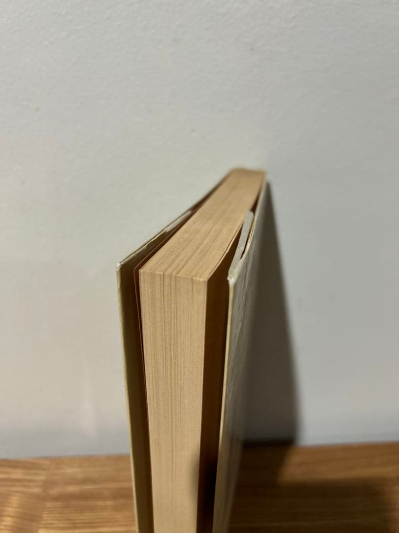 ソロモン王の苦悩 　エミール アジャール (著), 長島 良三 (翻訳)