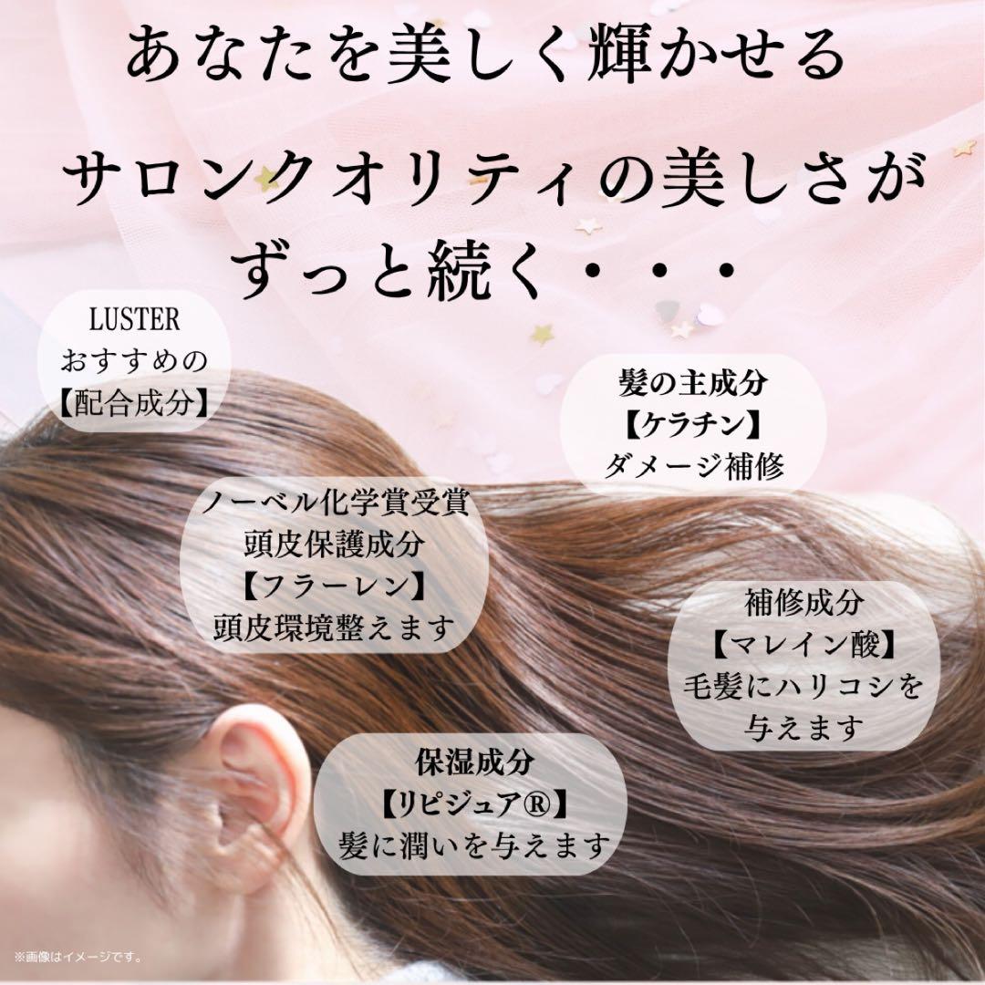 LUSTER シャントリ 1000ml セット | 傷んだ髪 カラーキープ 詰替