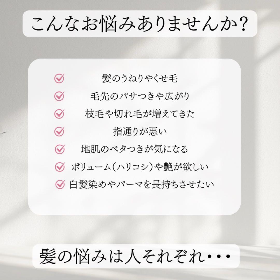 LUSTER シャントリ 1000ml セット | 傷んだ髪 カラーキープ 詰替