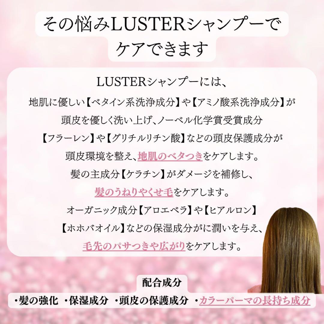 LUSTER シャントリ 1000ml セット | 傷んだ髪 カラーキープ 詰替