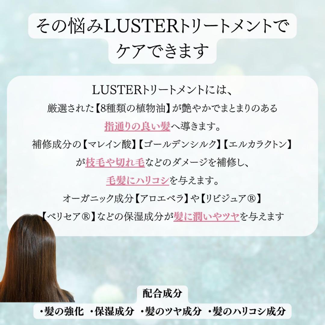 LUSTER シャントリ 1000ml セット | 傷んだ髪 カラーキープ 詰替