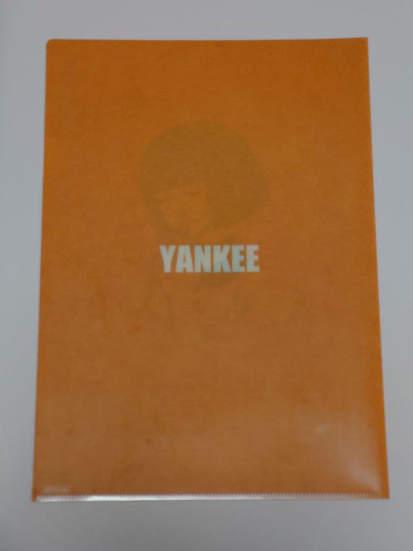 米津玄師 アルバム YANKEE Bremen 画集盤セット