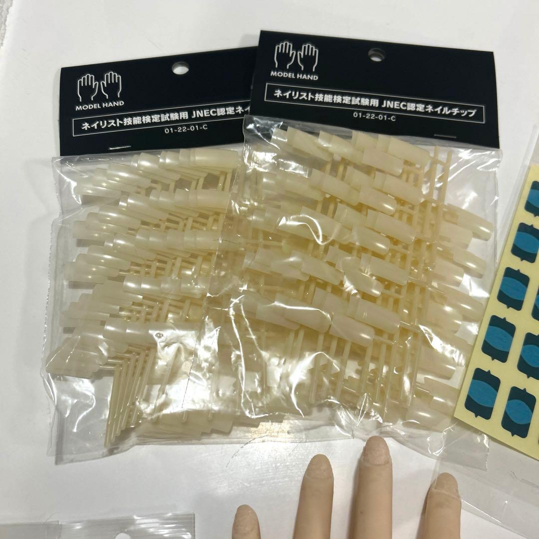 JNEC認定モデルハンド STモデルハンド