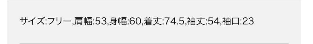 スローブイエナ PAYDAY ペイデイ 別注 シャンブレーシャツ デニムシャツ