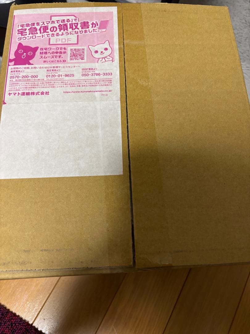 Nintendo Switch 2 ポケモンレジェンズ アルセウス