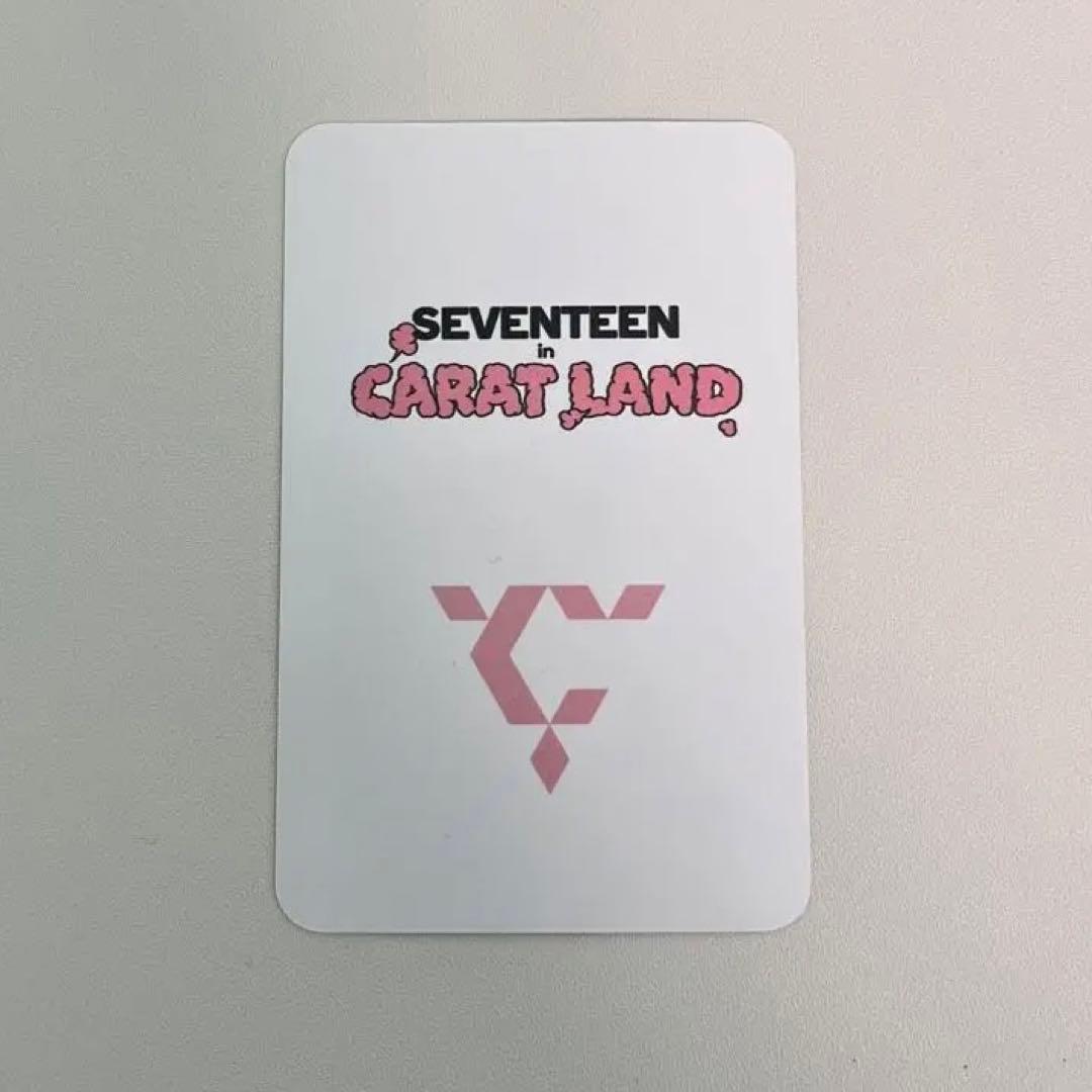 SEVENTEEN エスクプス caratzoneトレカ