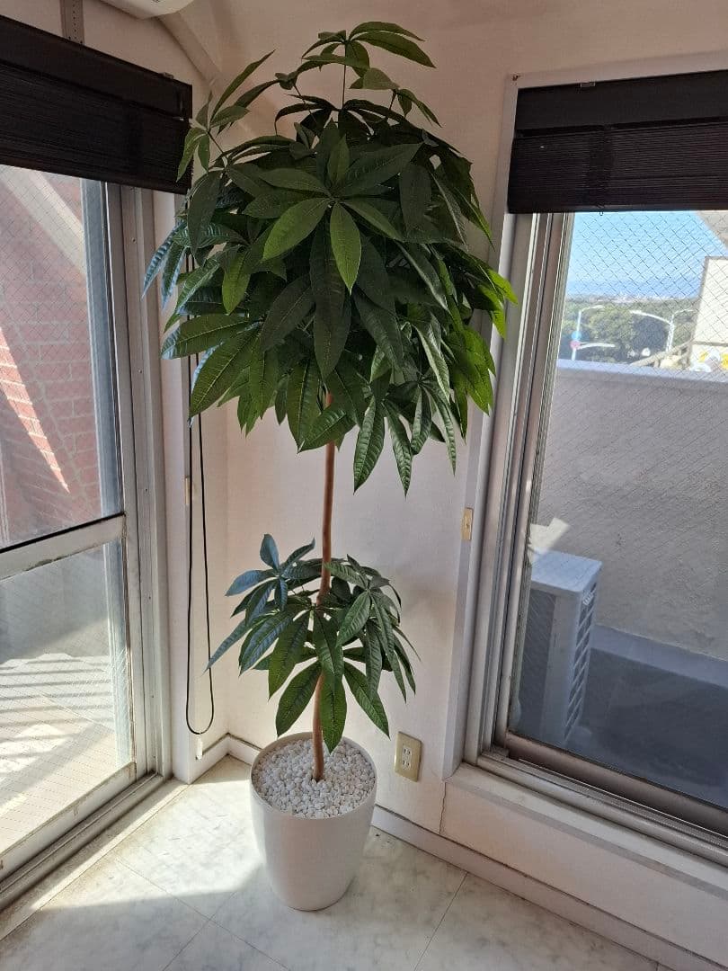 人工観葉植物 高さ150cm ホワイト鉢パキラ