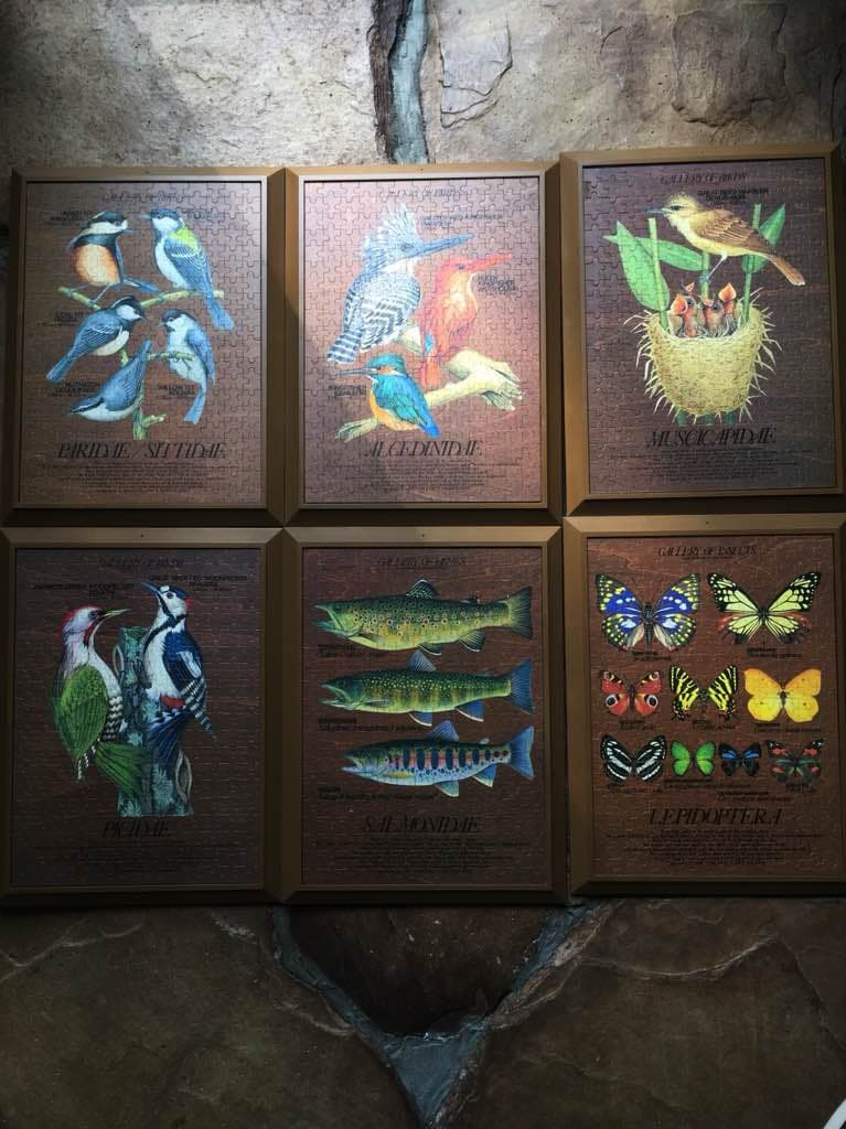 ＊DOM SPACE DESIGN ＊