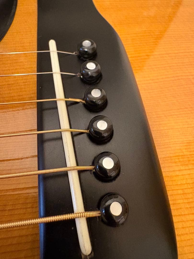 Morris W-50 単板トップ アコースティックギター 専用ハードケース付