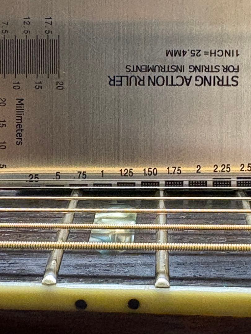 Morris W-50 単板トップ アコースティックギター 専用ハードケース付