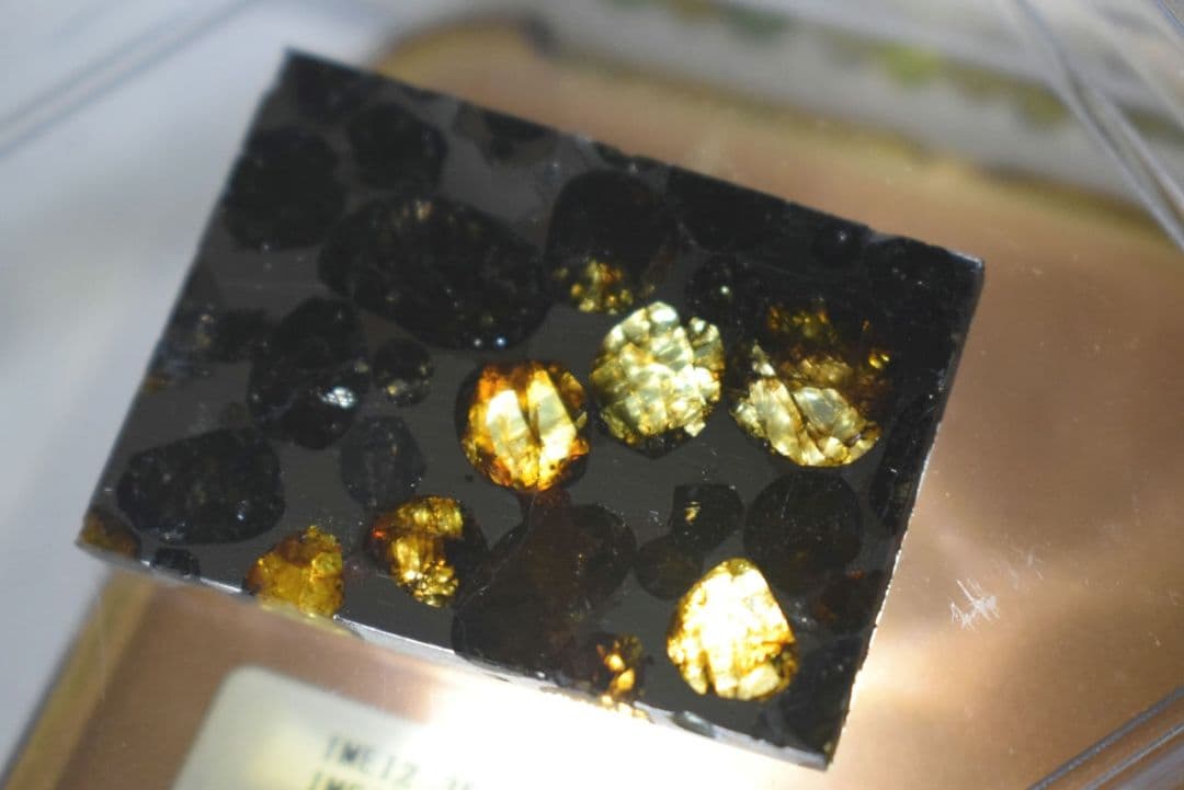 セリコ隕石（隕鉄、パラサイト隕石）