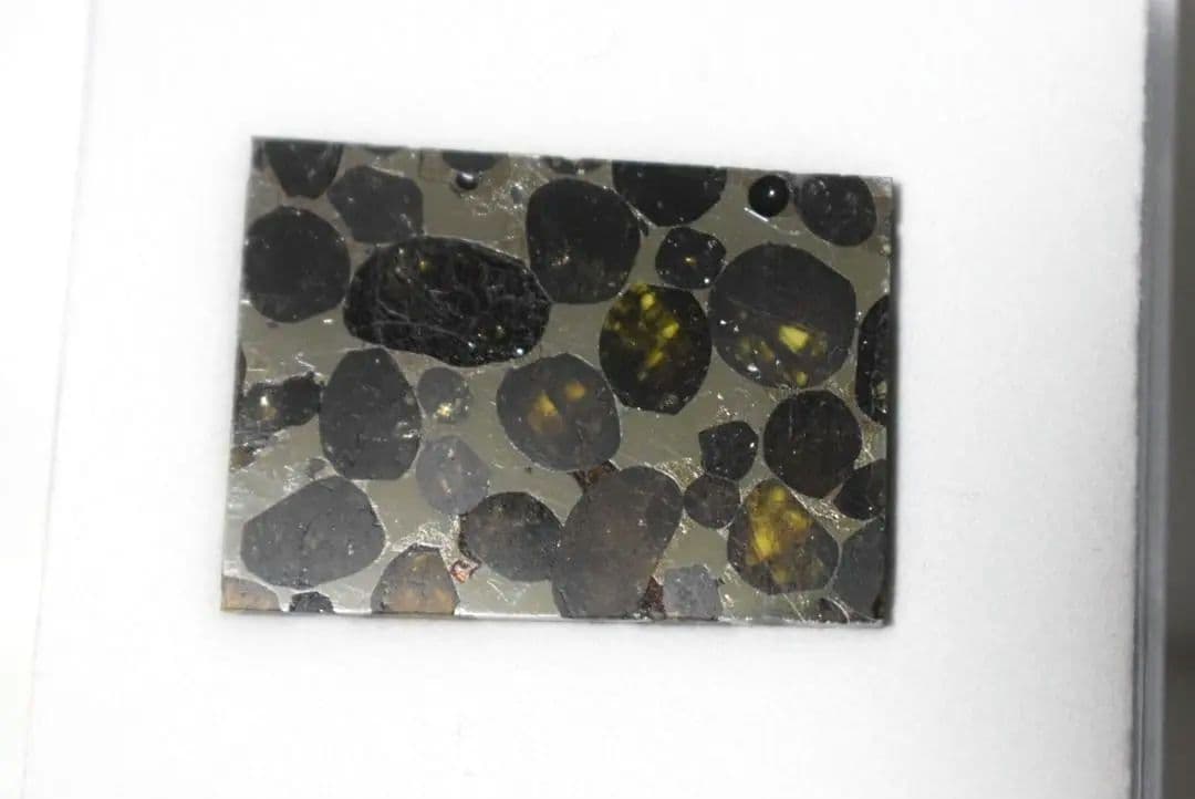 セリコ隕石（隕鉄、パラサイト隕石）