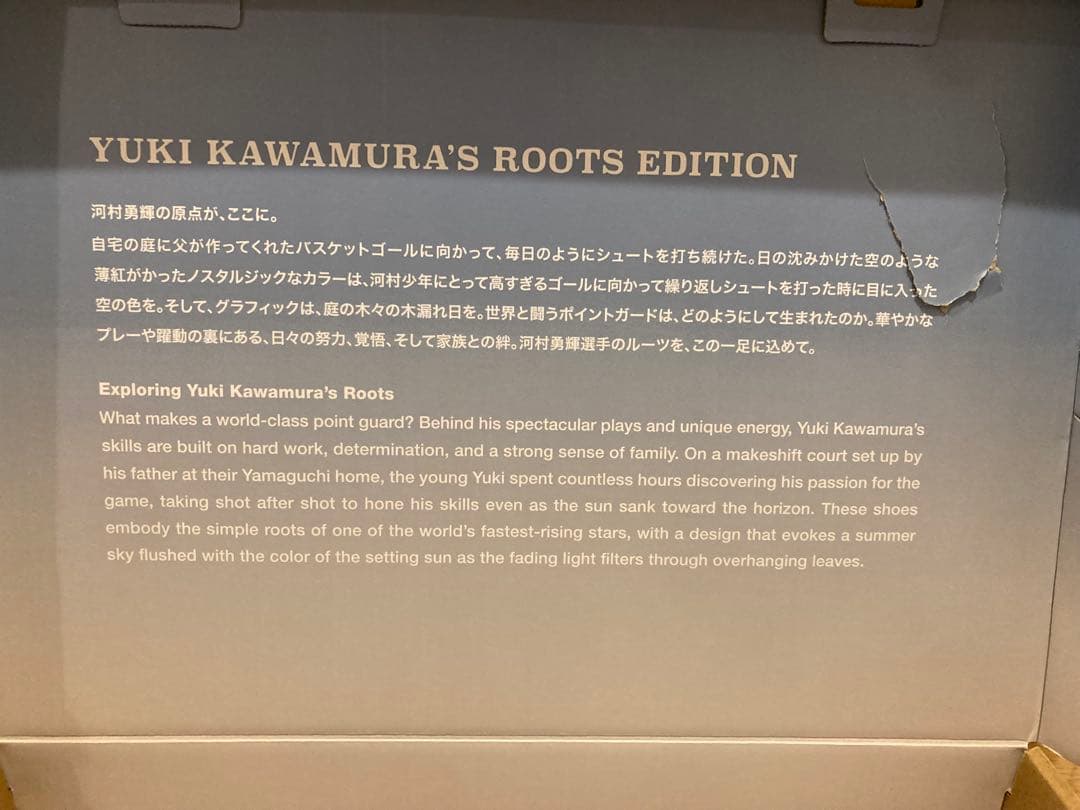 シューズ(男性用) ANPRE URS LOW 2 RT