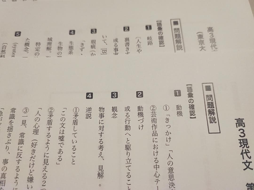 鉄緑会の24年高3現代文ハンドアウト現代文の要点フルセット　駿台　河合塾