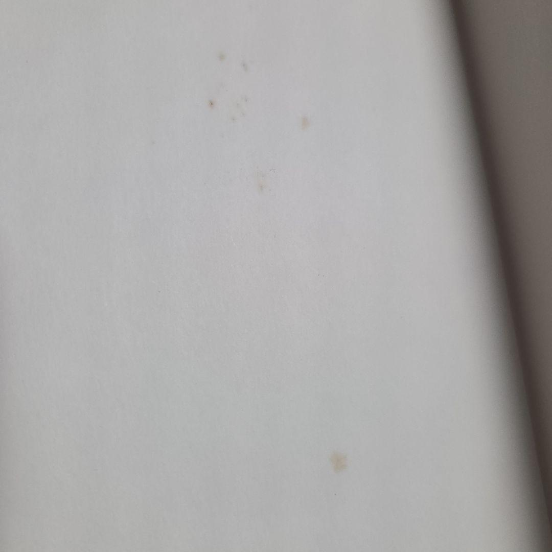 川内倫子　AILA 初版本