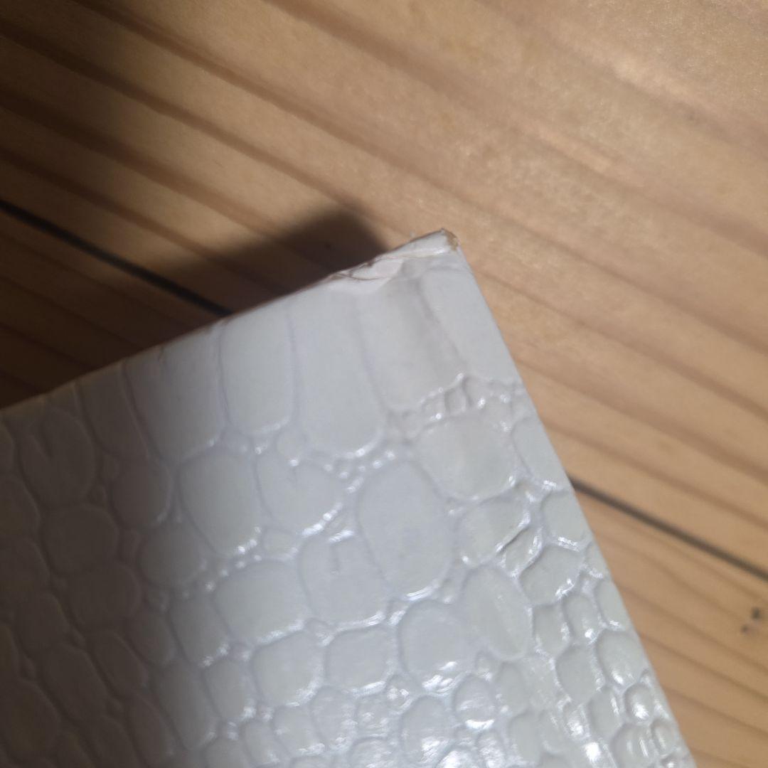 川内倫子　AILA 初版本