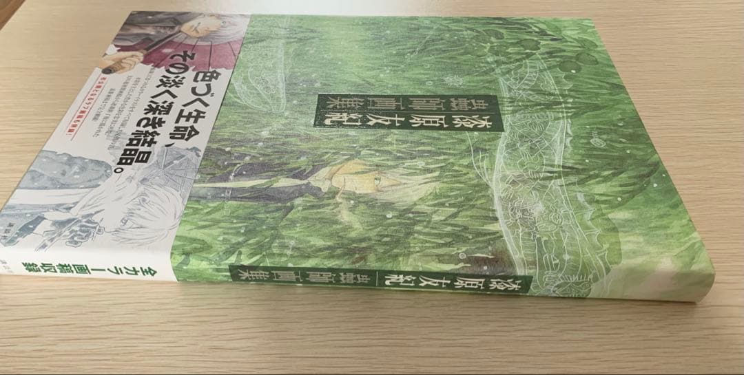 蟲師　画集　漆原友紀　初版