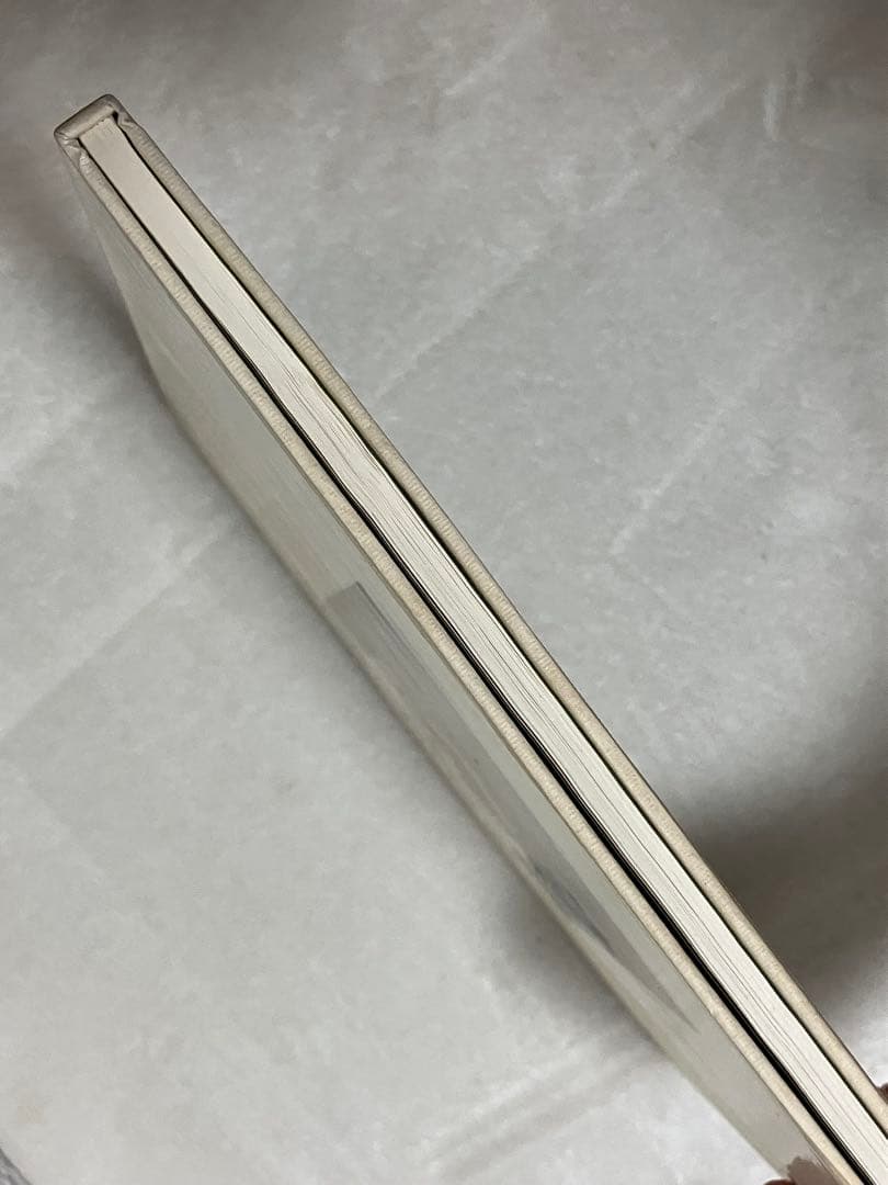 写真集 加藤晨明の素描 Shinmei Katou DRAWINGS