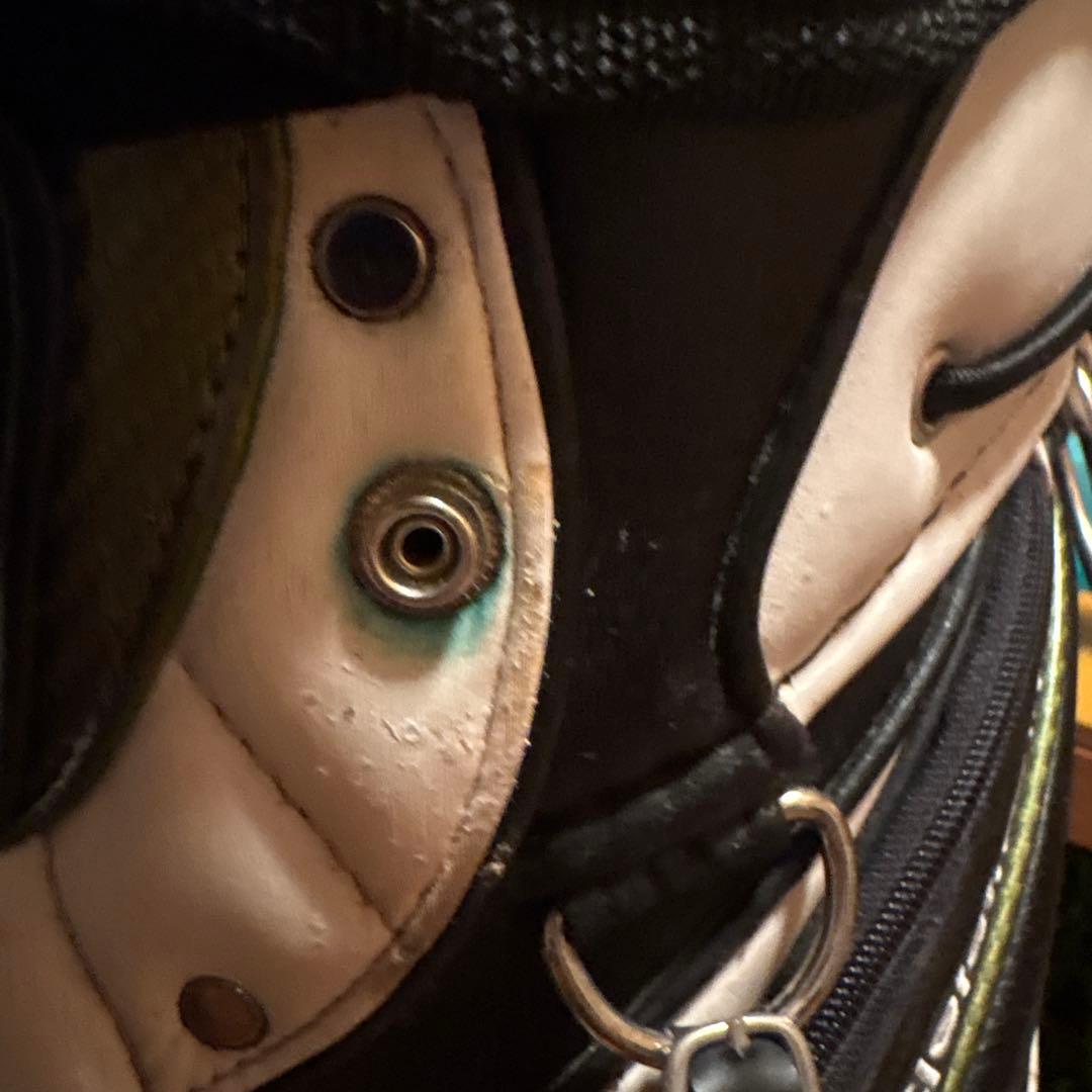 Titleist キャディバッグ 黒/白/金