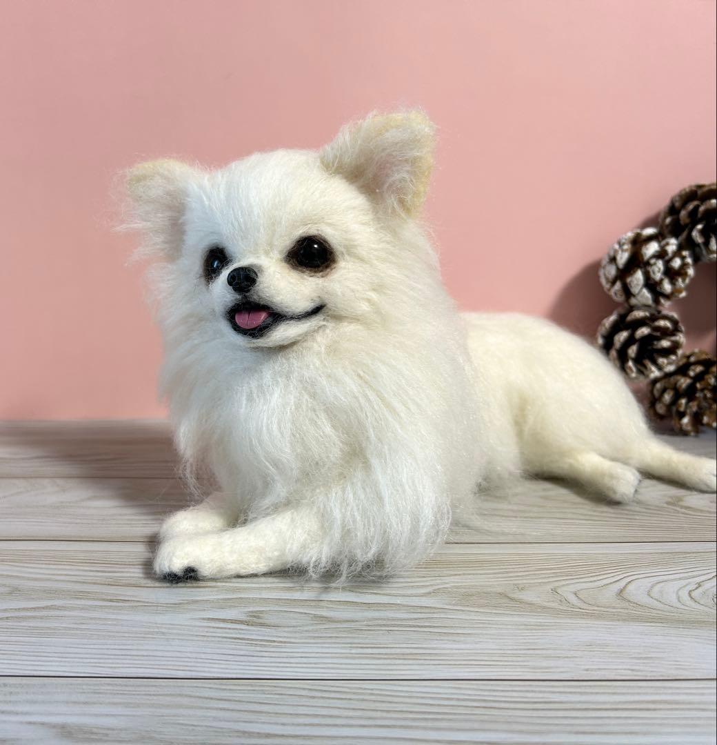 羊毛フェルト　伏せをする大きいチワワちゃん