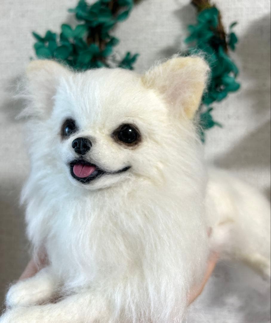 羊毛フェルト　伏せをする大きいチワワちゃん